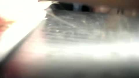 Den  online show from March 2026 12:53:01 PM