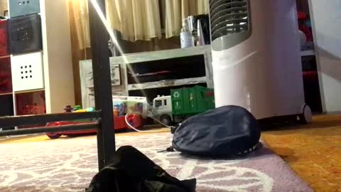 julieface87 online show from March 2026 10:10:01 AM