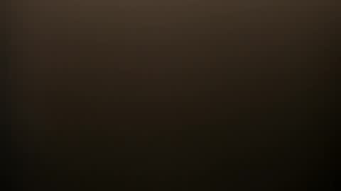     online show from February 2026 09:00:02 PM