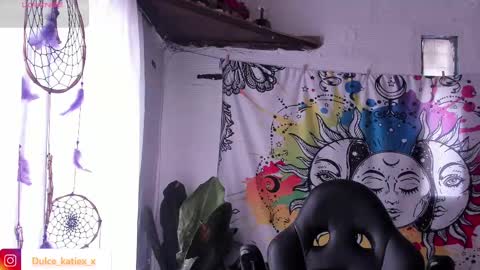 Snapshot of just_katiex chatting on February 2025 04:25:02 PM Sofia online show from February 2025 04:25:02 PM