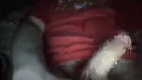 justinkinglols online show from October 2025 07:23:02 PM