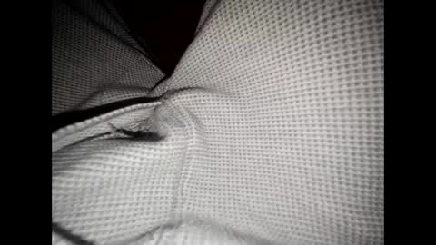 justswack online show from December 2024 06:54:02 AM