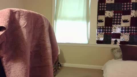 Snapshot of jwolf86 chatting on March 2025 01:29:01 PM Wolf online show from March 2025 01:29:01 PM