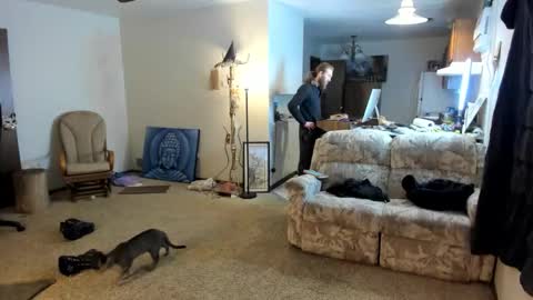 Kaiku77 online show from January 2026 08:56:01 PM