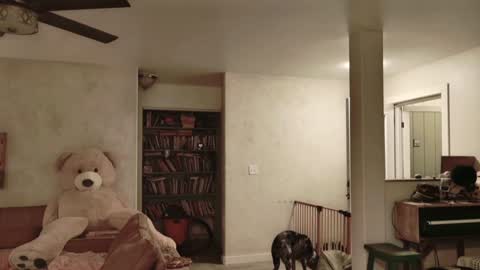 Kailee Smile online show from November 2025 04:58:02 AM