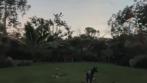 Kailee Smile online show from April 2026 04:15:02 AM