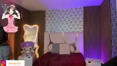 Snapshot of kaisage_tay chatting on September 2025 03:49:01 AM kaisage_tay online show from September 2025 03:49:01 AM