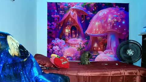    online show from November 2025 10:14:02 AM