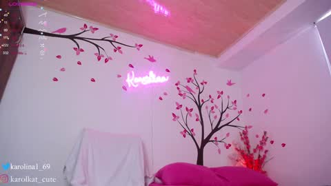 Snapshot of karolkat_1 chatting on January 2025 05:15:01 PM Karolina 3 online show from January 2025 05:15:01 PM