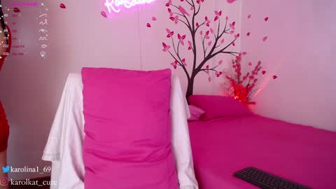 Snapshot of karolkat_1 chatting on January 2025 12:54:02 PM Karolina 3 online show from January 2025 12:54:02 PM
