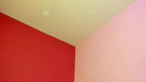 Kate  online show from November 2025 11:14:01 AM