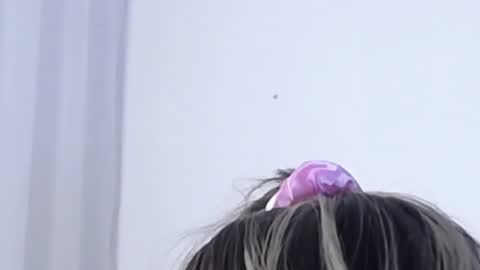 Help me with rate thanks  online show from January 2025 03:16:02 AM