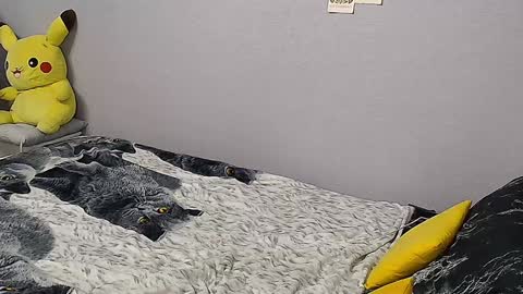 Snapshot of kathrineberry chatting on January 2025 02:07:01 PM KathrineBerry online show from January 2025 02:07:01 PM