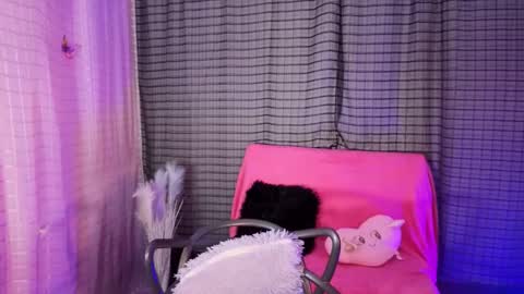 Snapshot of kayleemorales chatting on January 2026 06:01:01 PM Kaylee online show from January 2026 06:01:01 PM