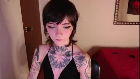Snapshot of kazumi_666 chatting on January 2025 12:38:01 AM kazumi online show from January 2025 12:38:01 AM