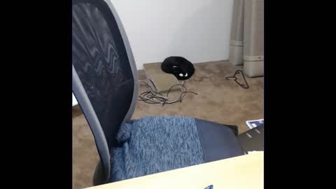 kcirt17225058 online show from October 2025 09:20:01 AM