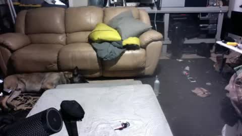 Dexter online show from July 2026 09:25:01 AM