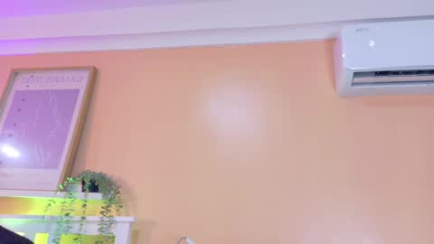   online show from May 2026 09:06:01 AM