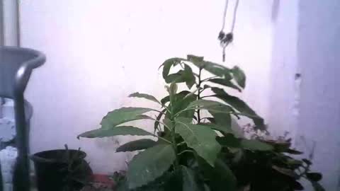 keny06 online show from December 2024 04:49:02 AM