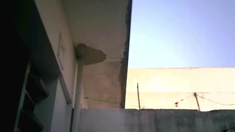 keny06 online show from February 2025 07:55:01 PM