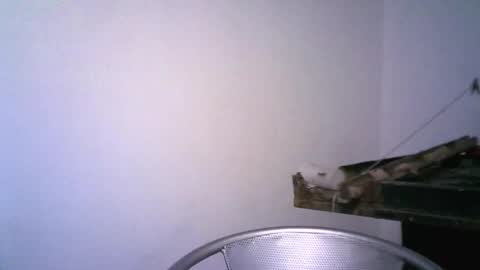 keny06 online show from February 2025 03:51:01 AM