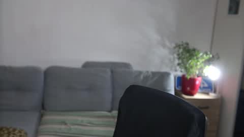 Snapshot of kevin_park chatting on February 2026 02:20:02 PM Kev online show from February 2026 02:20:02 PM