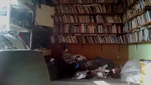 Snapshot of kindhate01 chatting on February 2026 09:38:01 AM kindhate01 online show from February 2026 09:38:01 AM