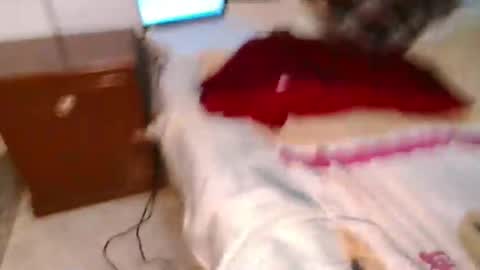 Conejo online show from March 2025 12:18:01 AM