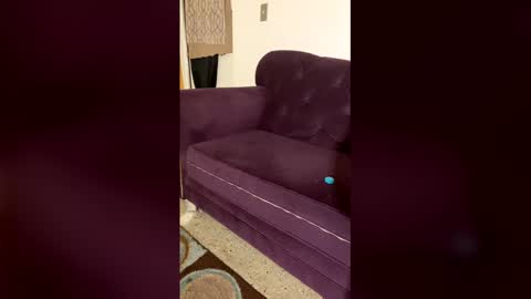 kingecstasyxxxddd online show from March 2026 01:51:01 PM