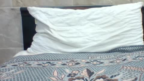 kingjordan122 online show from January 2025 07:15:01 PM