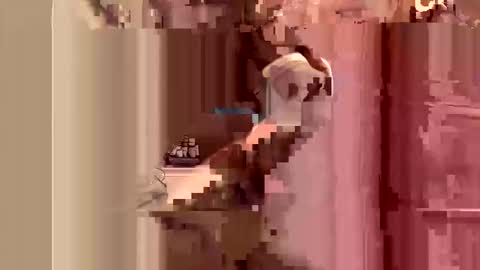 kingslimfresh online show from March 2026 01:10:01 AM