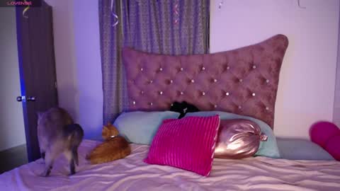 Snapshot of kinkydoll_ chatting on December 2024 10:16:02 PM Sara online show from December 2024 10:16:02 PM