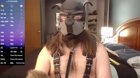 kinkywolf87 online show from January 2025 05:54:02 PM
