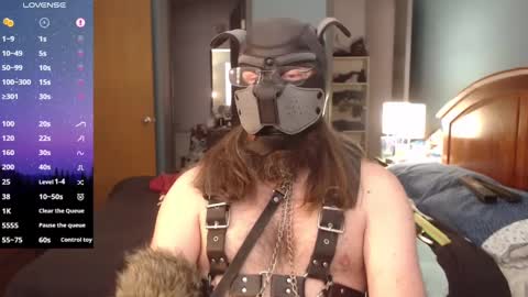 kinkywolf87 online show from January 2025 07:42:01 PM