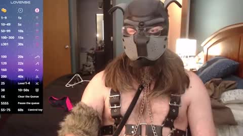 kinkywolf87 online show from January 2025 08:49:02 PM