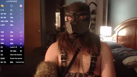 kinkywolf87 online show from February 2025 01:44:02 AM