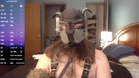 kinkywolf87 online show from February 2025 06:39:01 PM