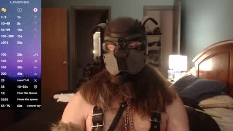 kinkywolf87 online show from February 2025 09:39:02 PM