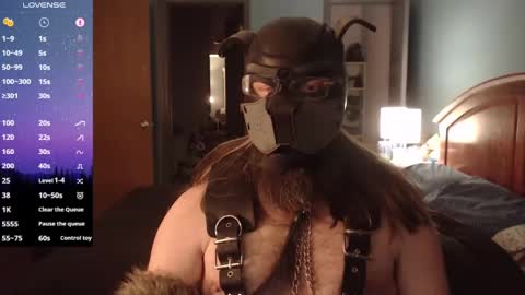 kinkywolf87 online show from February 2025 02:26:01 AM