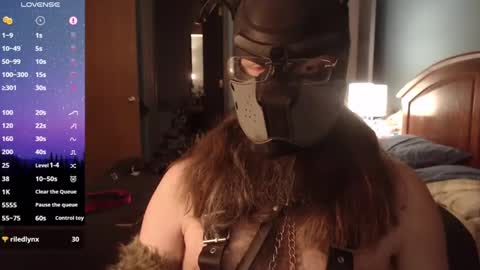 kinkywolf87 online show from March 2025 08:41:02 AM