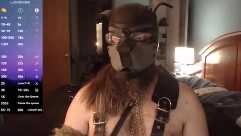 kinkywolf87 online show from March 2025 06:29:01 AM