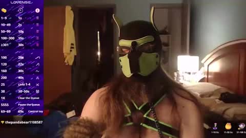 kinkywolf87 online show from October 2025 05:30:01 AM