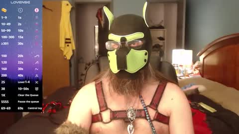 kinkywolf87 online show from March 2026 10:03:01 PM