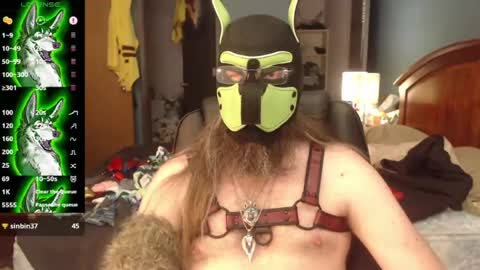 Snapshot of kinkywolf87 chatting on July 2026 07:29:01 PM kinkywolf87 online show from July 2026 07:29:01 PM
