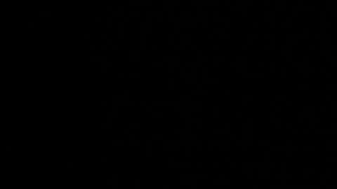 M A R A  online show from December 2025 12:19:01 AM