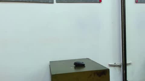 kira online show from February 2025 03:26:02 PM