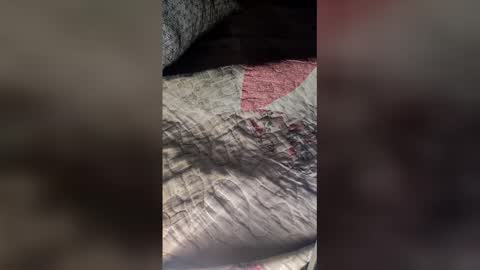 St1r4life online show from March 2026 10:52:01 AM