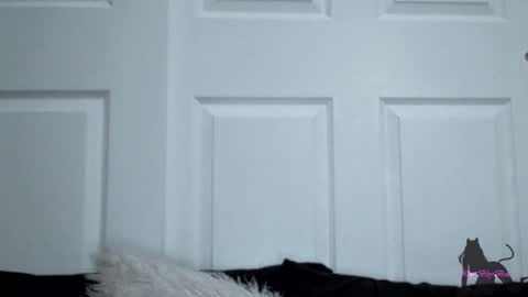 Snapshot of kittibbybells0311 chatting on November 2025 07:52:02 AM Kitti online show from November 2025 07:52:02 AM