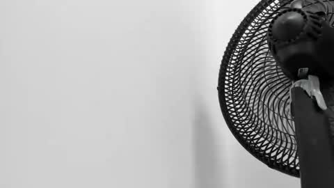 Kitty Dream01 online show from March 2026 07:00:02 PM