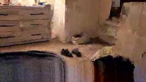 Snapshot of kittykat175154 chatting on February 2026 10:04:01 AM kittykat175154 online show from February 2026 10:04:01 AM